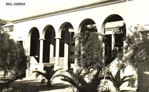 Bou hanifia